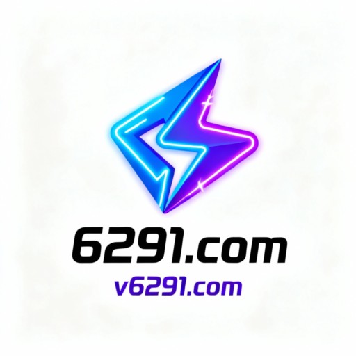 6291.com