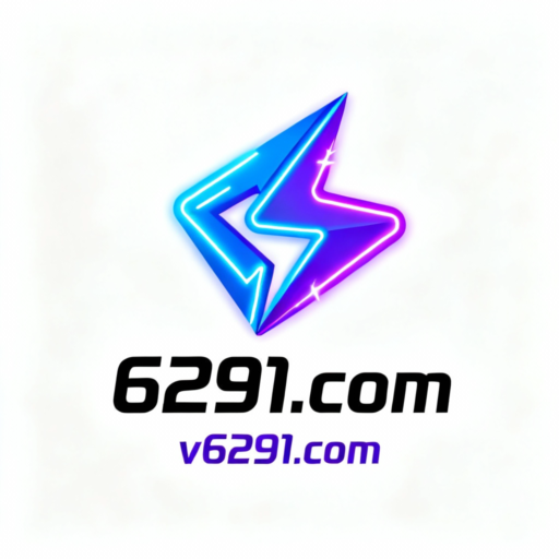 6291.com